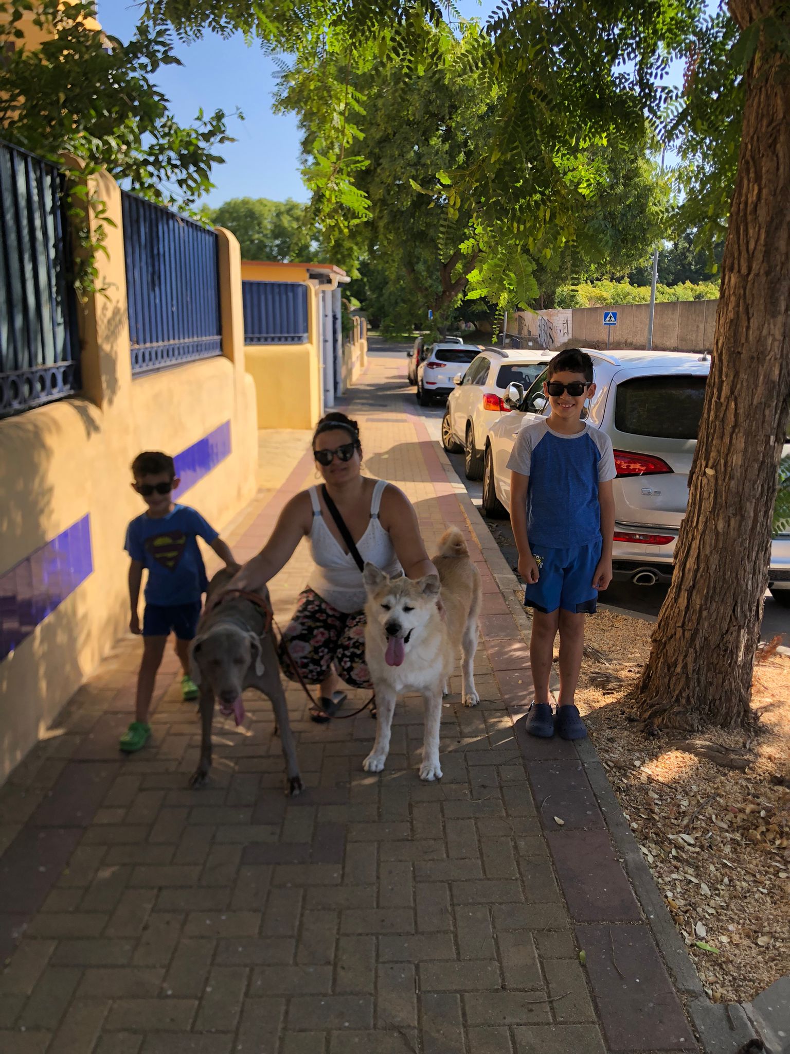 Familia paseando con weimaraner y shiba inu en guardería canina Churriana